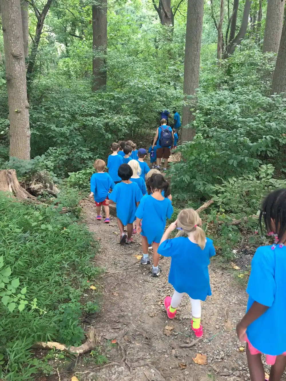 Students are walking along a dirt path in the forest