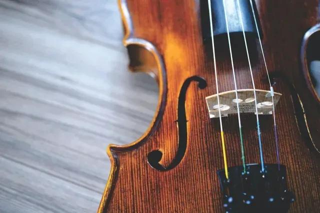 Close up photo of a violin