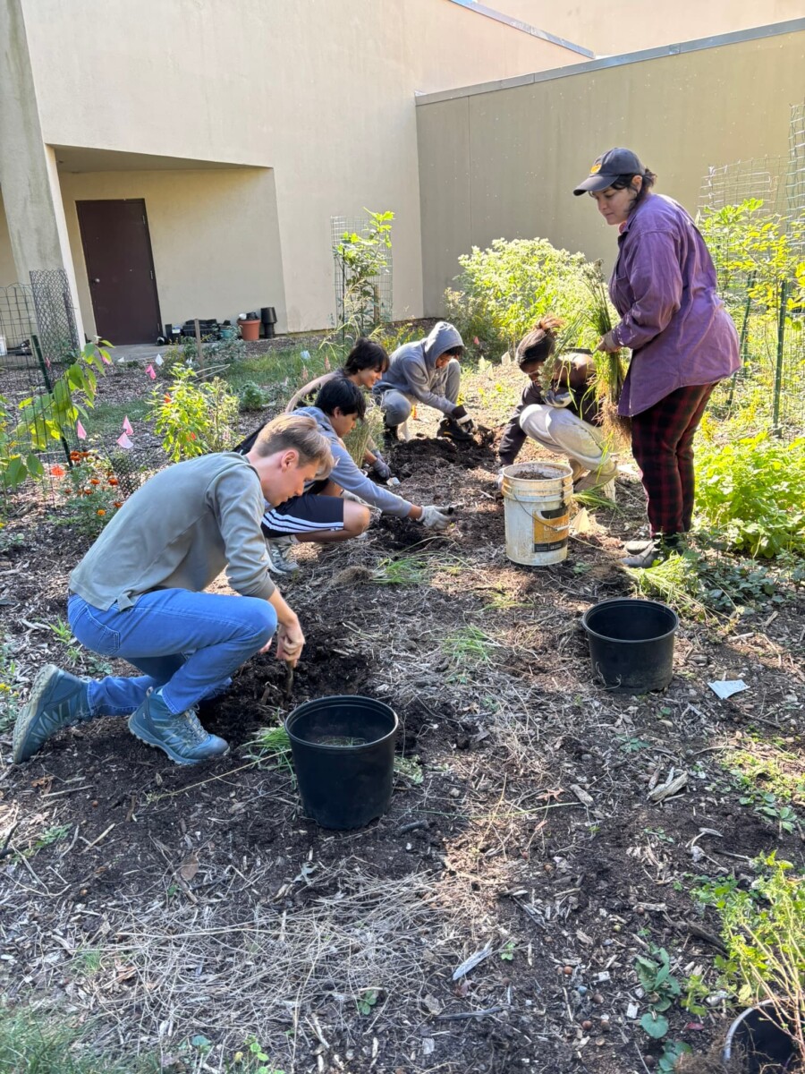 Students seated outside and busy gardening